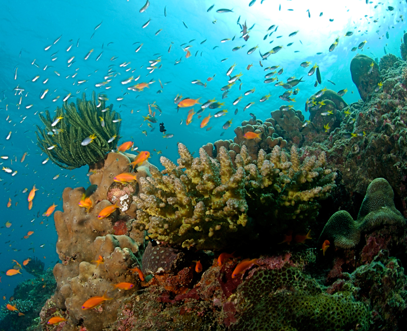 Andaman